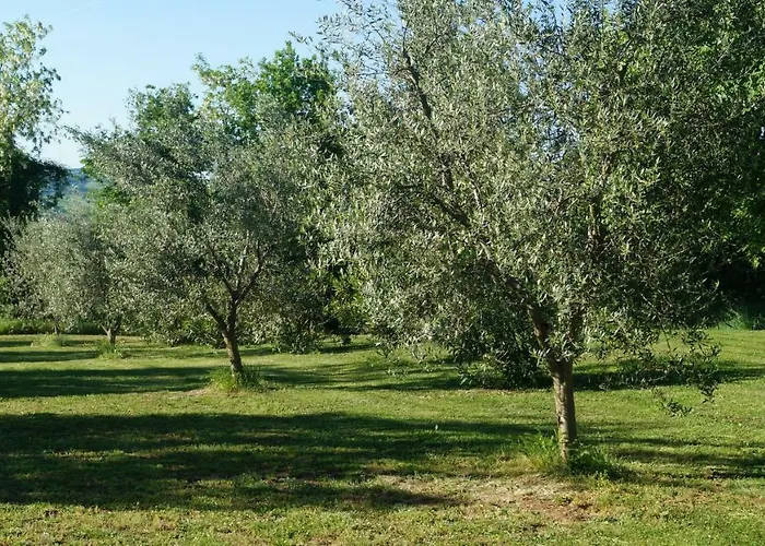 Agriturismo Poggio San Pietro